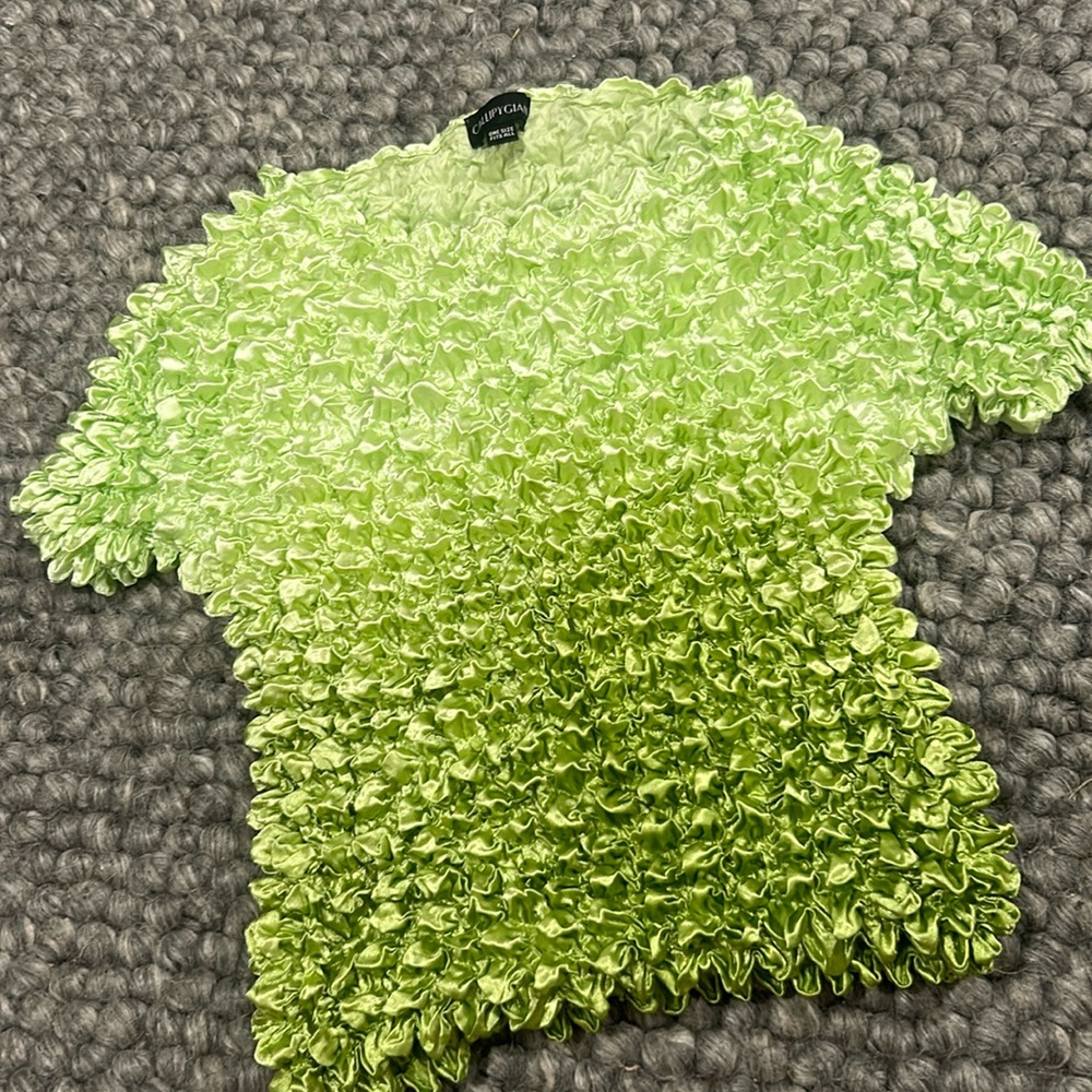 CallipyGian Green Radiant Textured Blouse